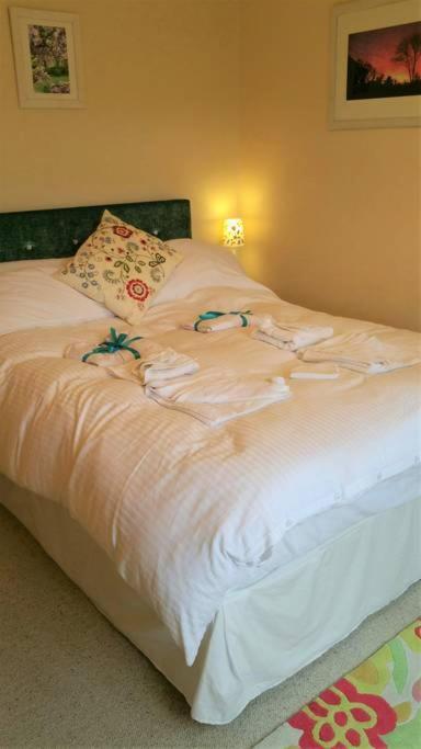 Horsna Parc Retreat Bed and Breakfast Saint Tudy Eksteriør billede